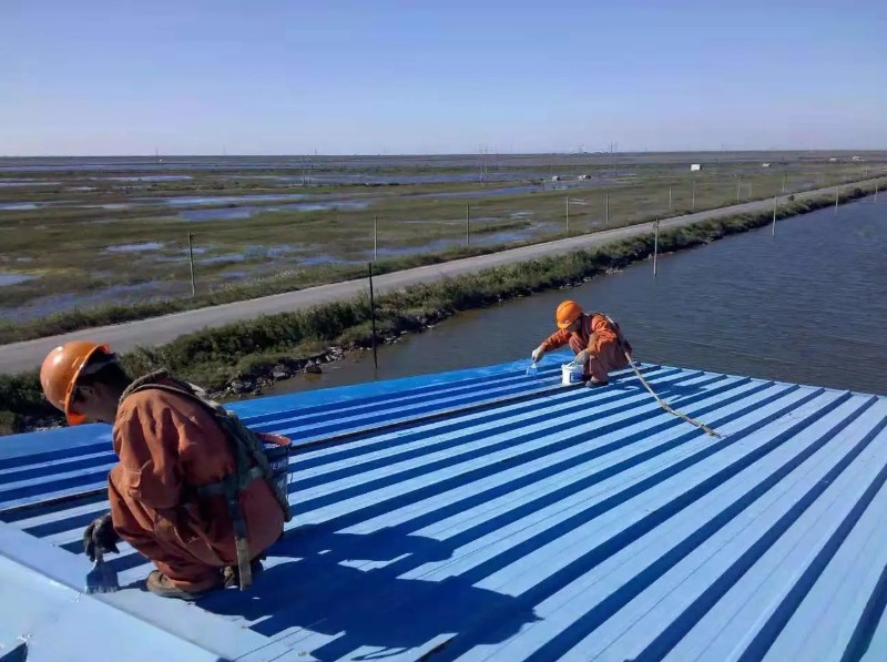 城厢钢结构屋面漏水原因